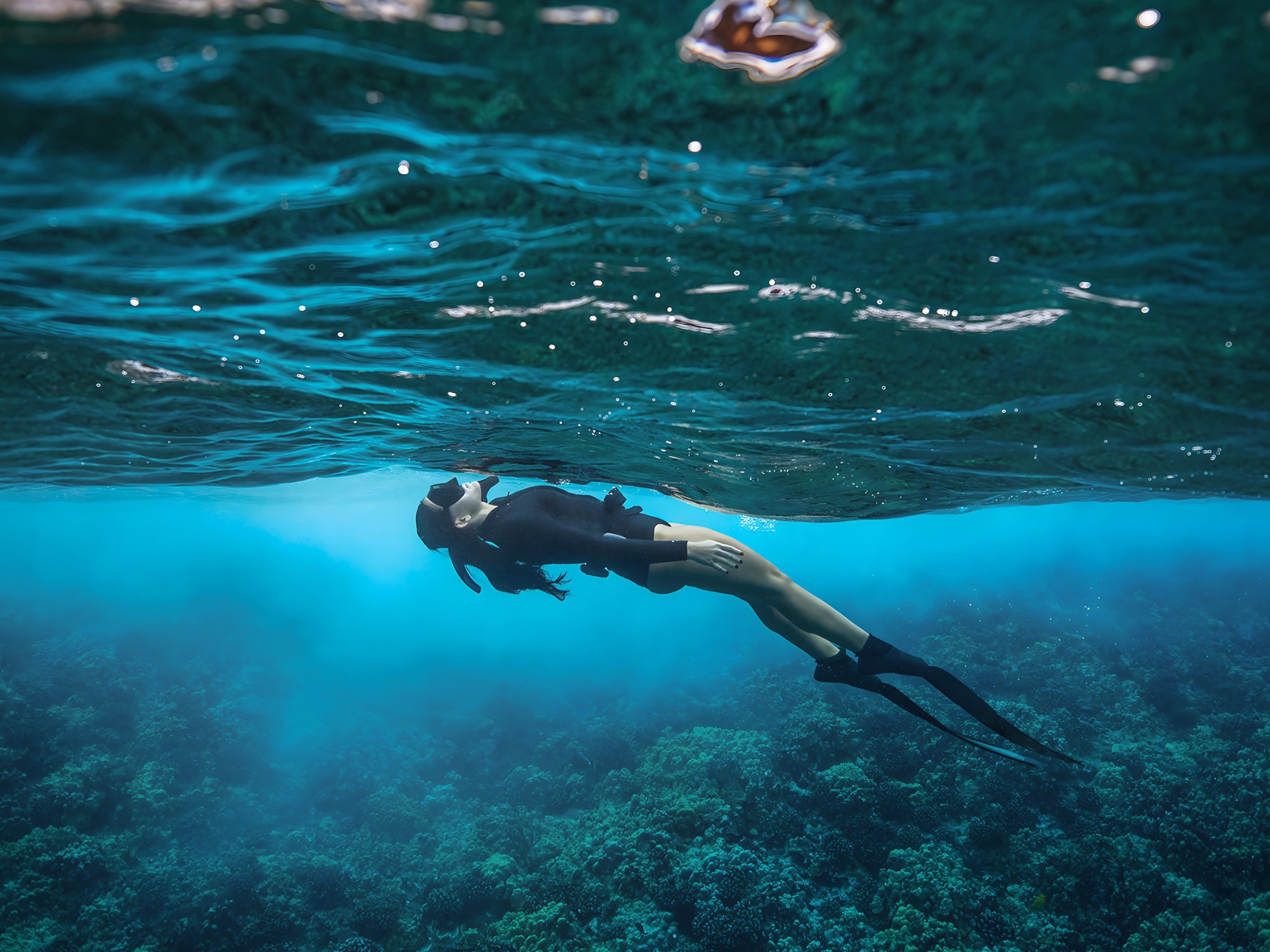 Buceo y snorkel Los Cabos